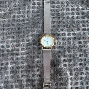 Skagen Two-Tone Silver and Gold Watch
